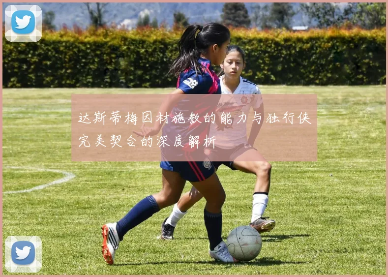 达斯蒂梅因材施教的能力与独行侠完美契合的深度解析